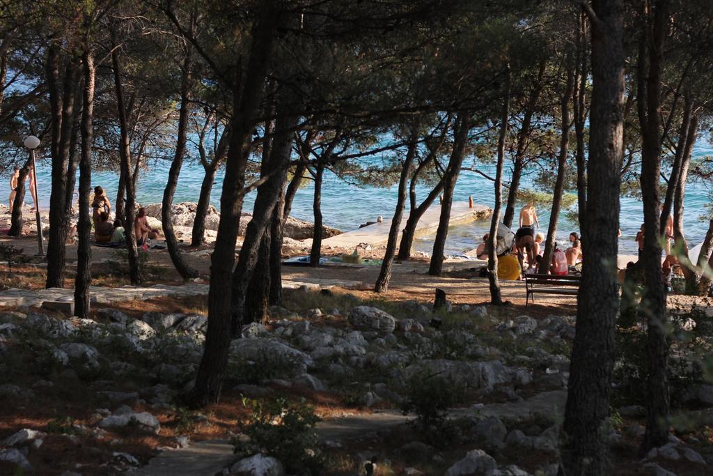 Apartments Vrgada Drage Rom bilde